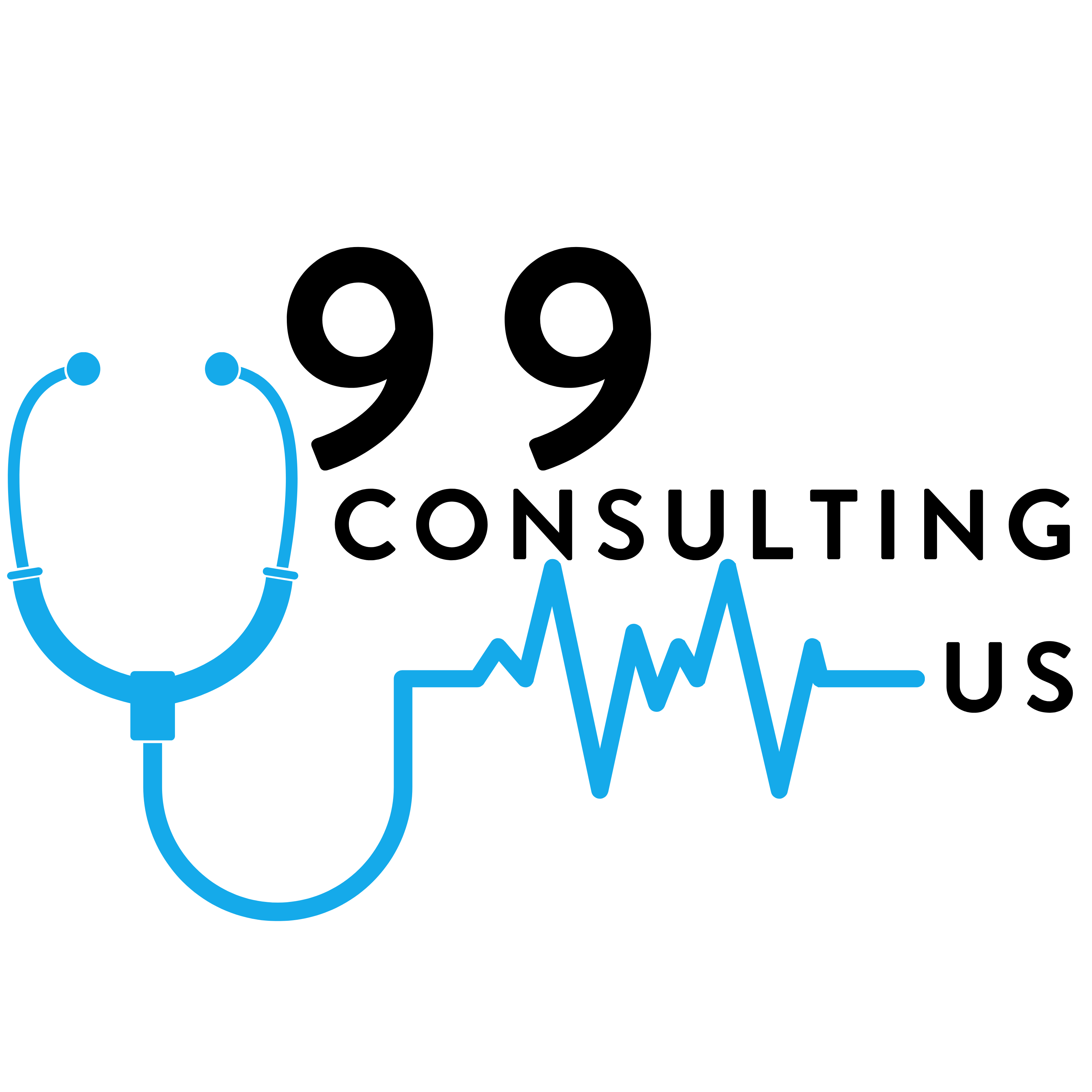99 Consulting – Premier Medical Distribution of the Carolinas